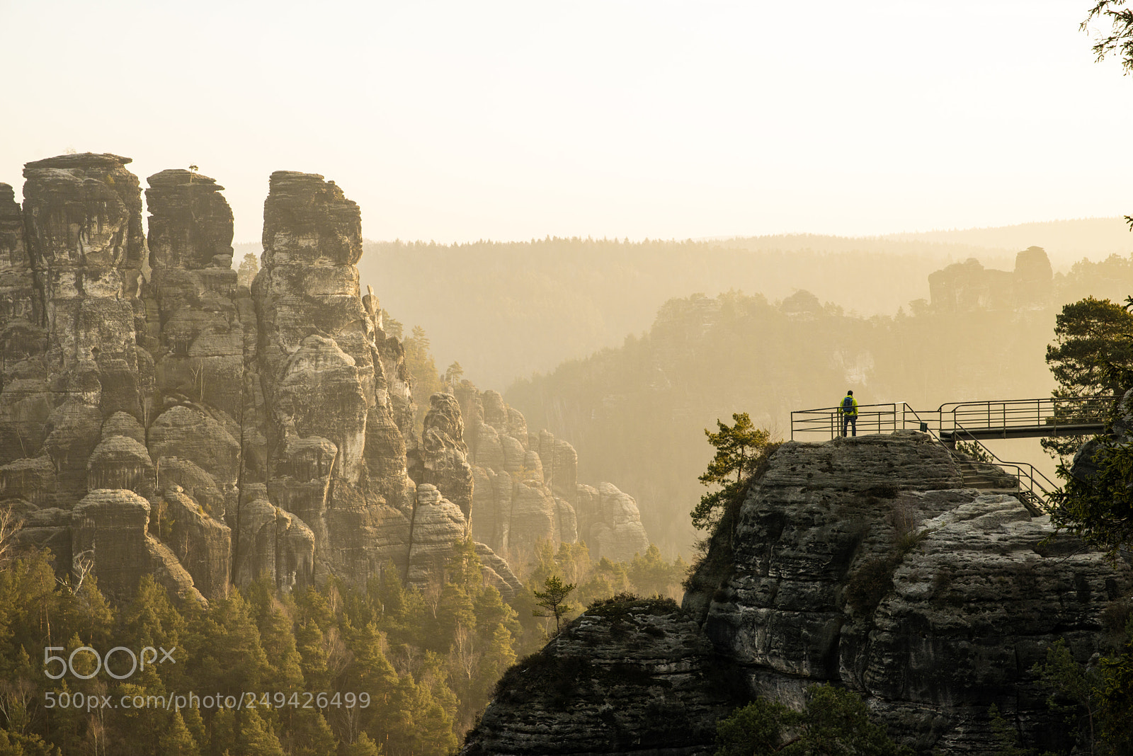 Nikon D800 sample photo. Sächsische schweiz photography