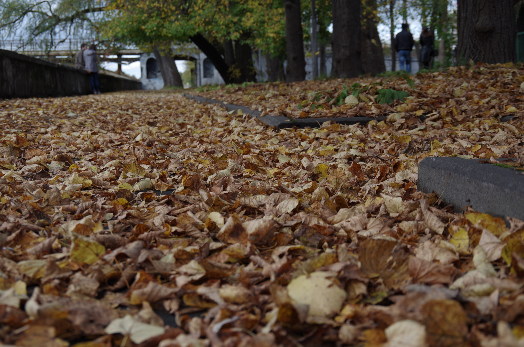 Pentax K-30 sample photo. Autumn, she will not ask. autumn, it will come photography