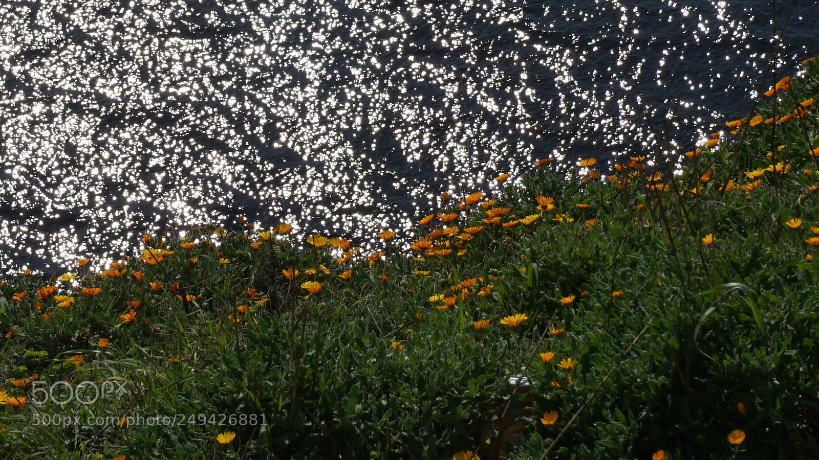 Sony a6000 sample photo. Spring on the hills photography