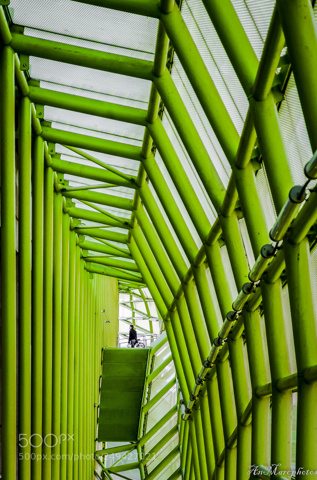 Nikon D7000 sample photo. Paris cit de la photography