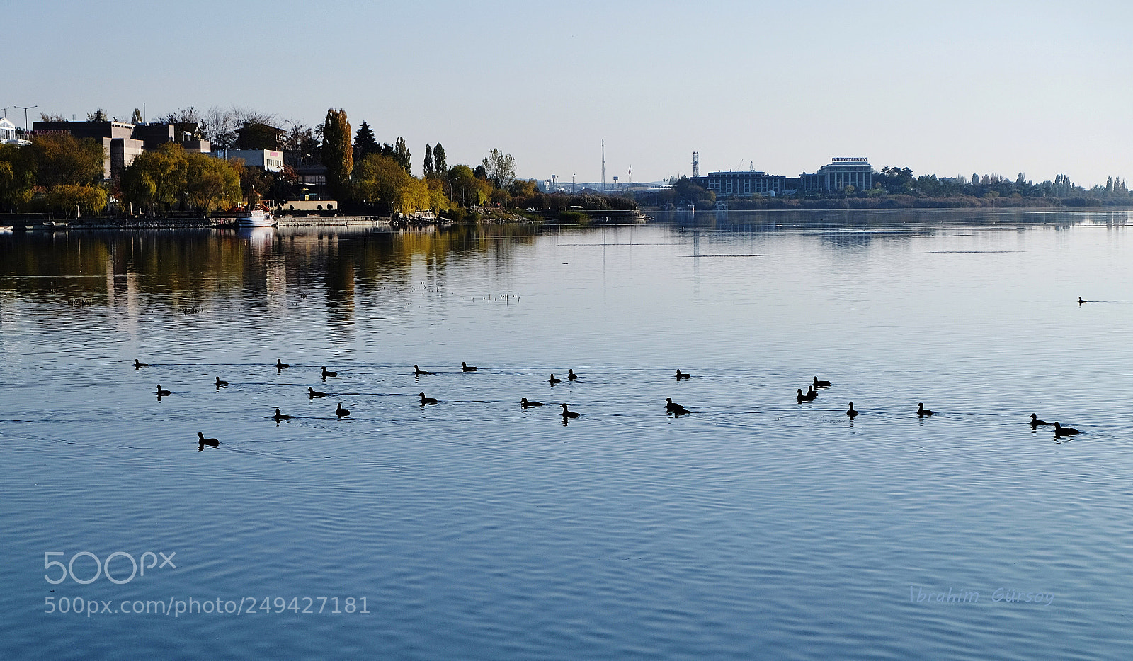 Fujifilm X-T10 sample photo. Ducks and reflection photography