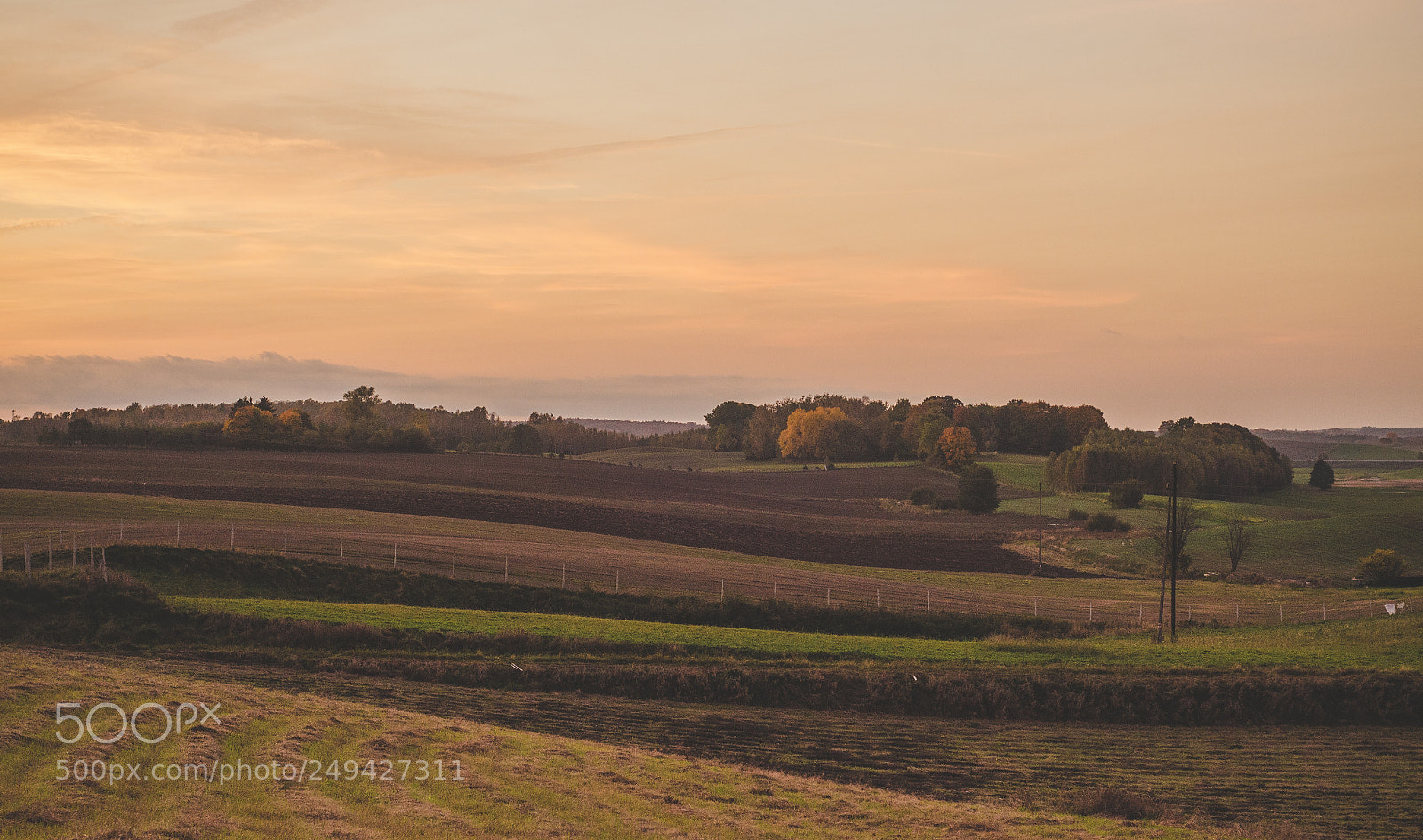 Nikon D7000 sample photo. Fields of p glity photography