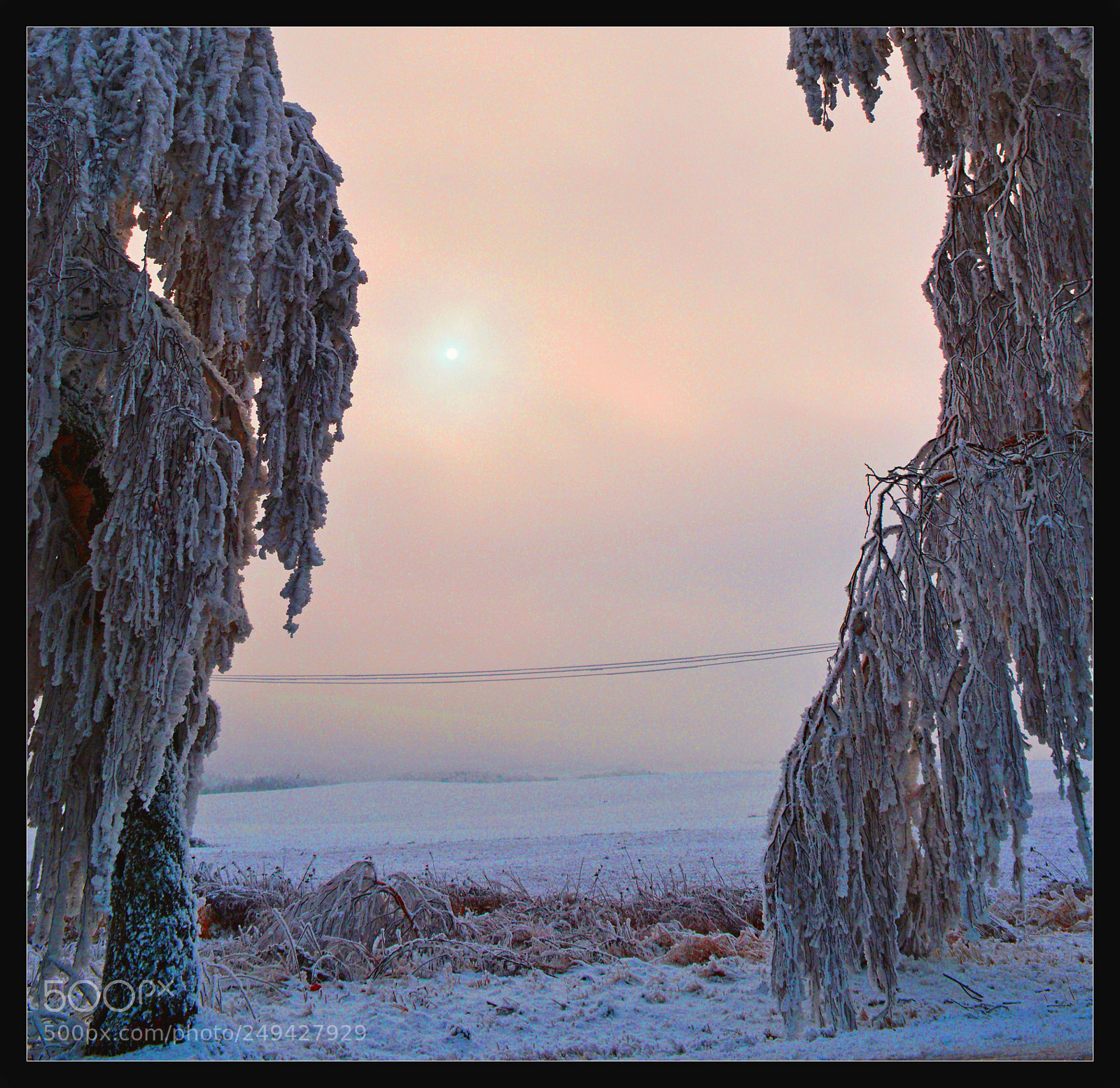 Nikon D3200 sample photo. Winter sun photography