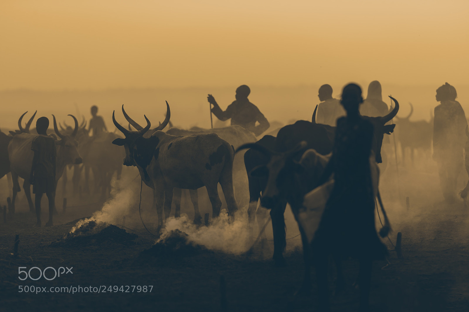 Nikon D810 sample photo. Symbiosis photography