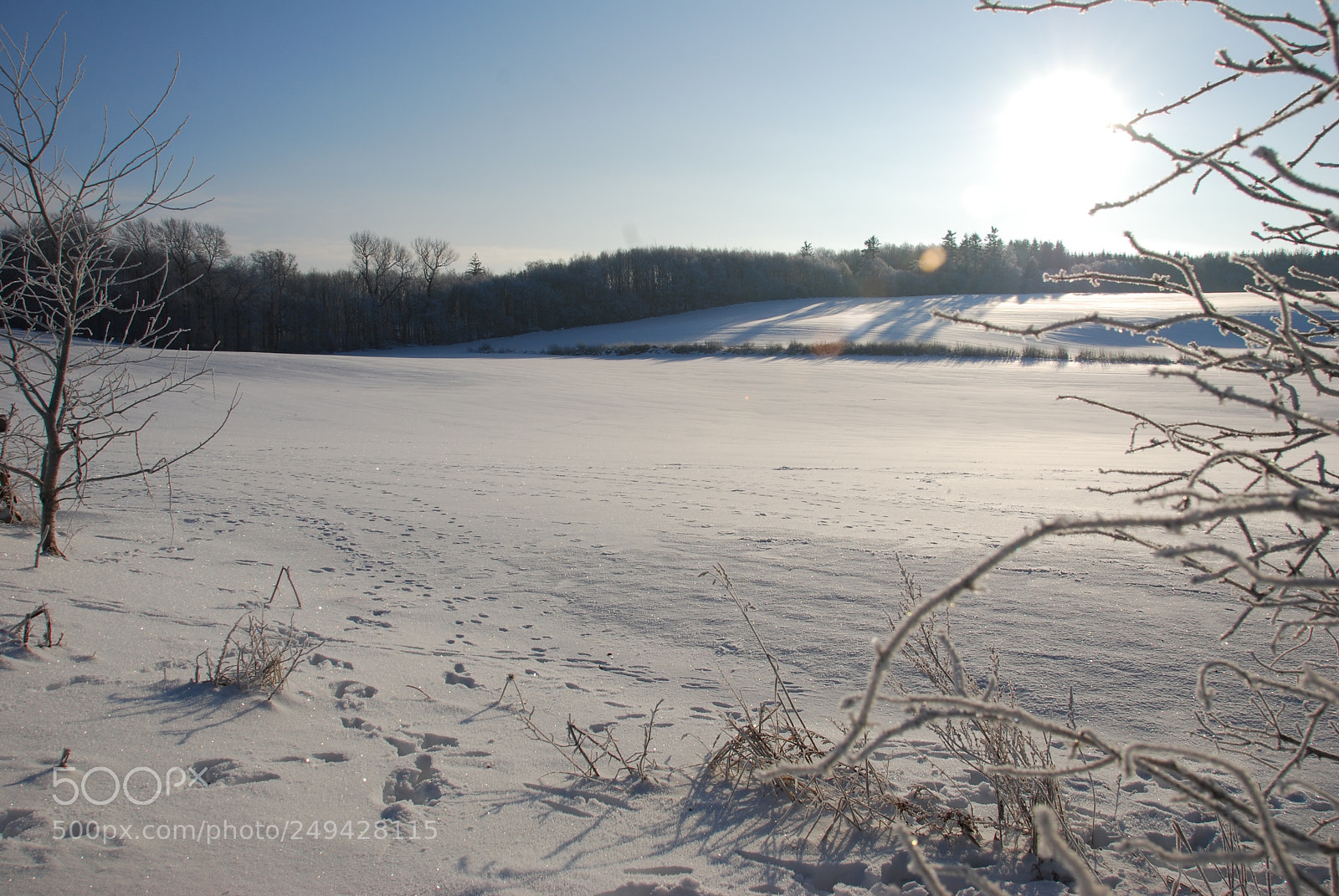 Nikon D40X sample photo. Winter photography
