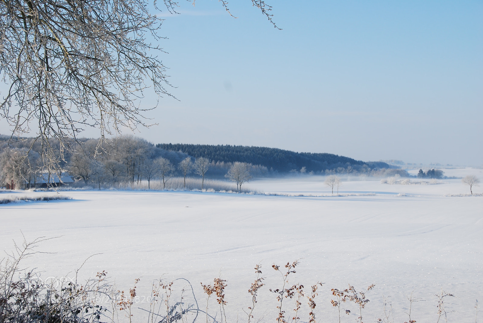 Nikon D40X sample photo. Winter photography