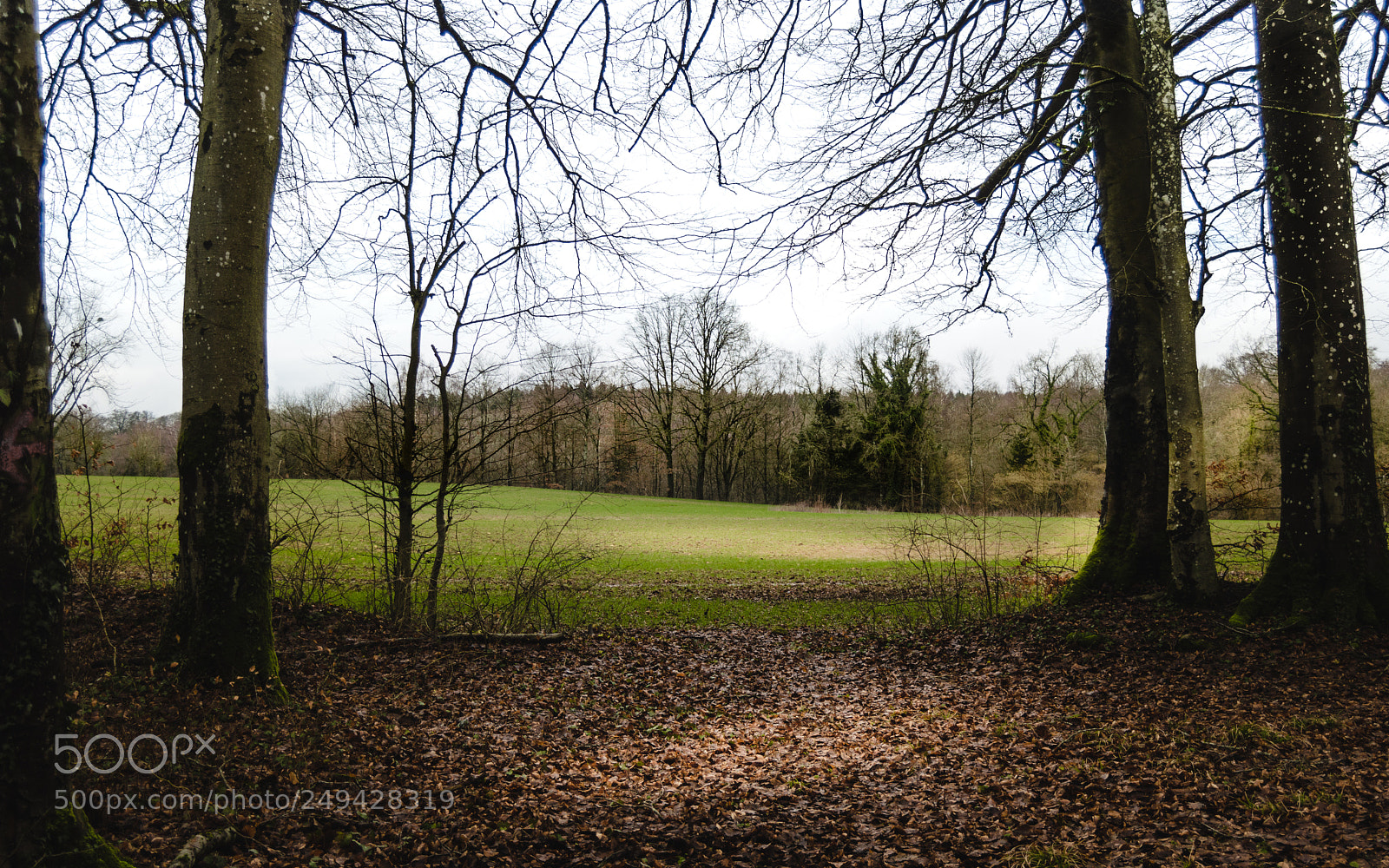 Nikon D3200 sample photo. Bienvenus a chez moi! photography