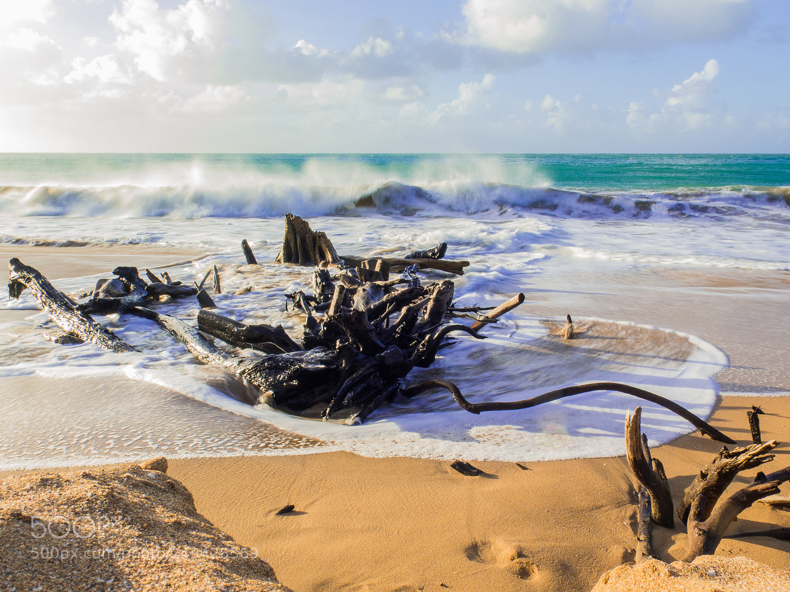 Canon PowerShot G16 sample photo. Beachwood photography