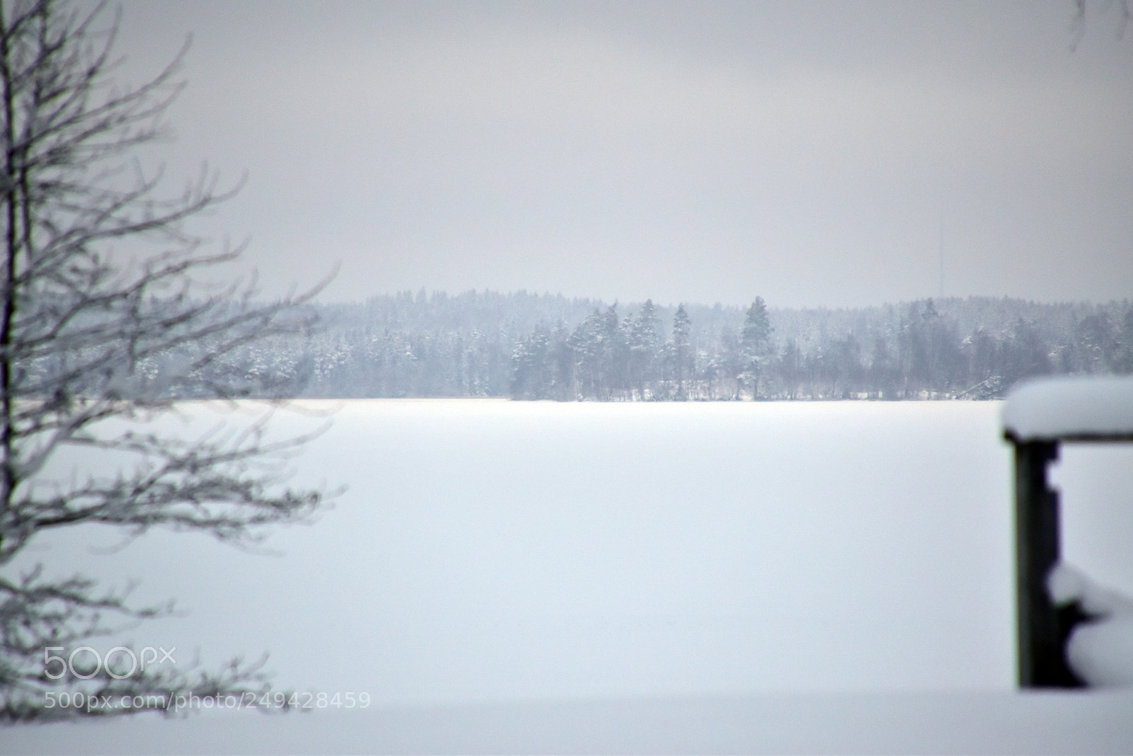 Nikon D5500 sample photo. Vinterdag photography
