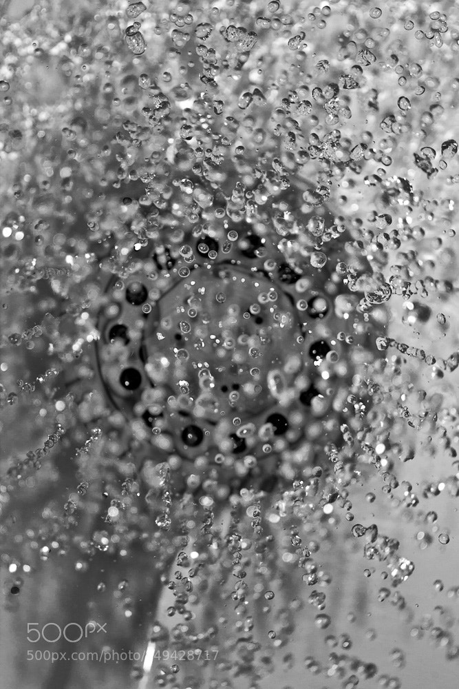 Canon EOS 450D (EOS Rebel XSi / EOS Kiss X2) sample photo. Ducha photography
