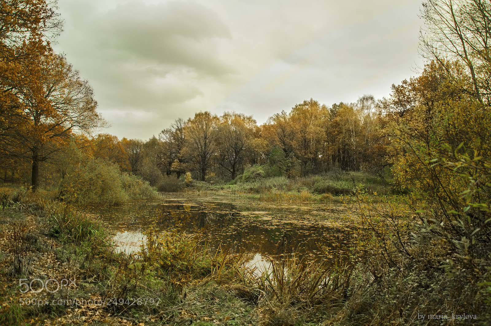 Nikon D90 sample photo. A little bit more photography
