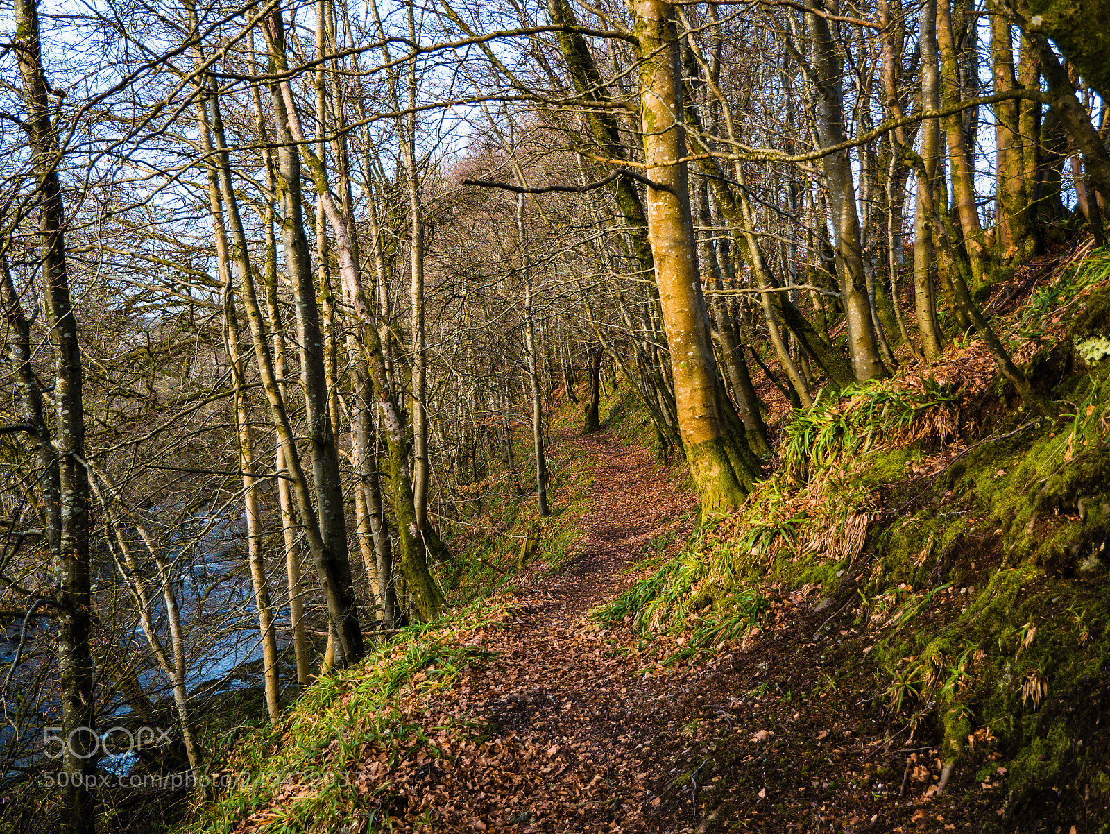 Panasonic Lumix DMC-G85 (Lumix DMC-G80) sample photo. Agw no wm photography