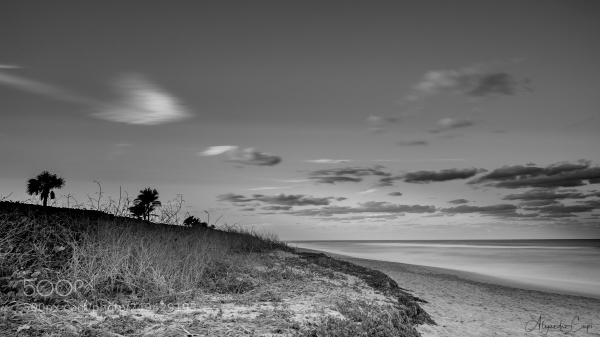 Nikon D850 sample photo. B&w landscapes photography
