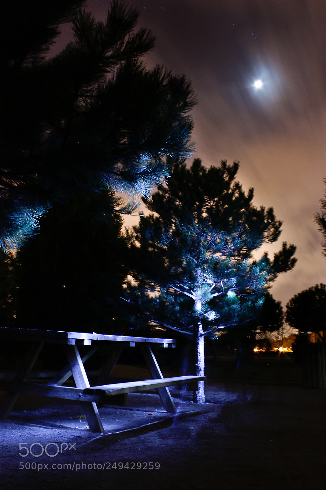 Canon EOS 450D (EOS Rebel XSi / EOS Kiss X2) sample photo. Nocturna photography