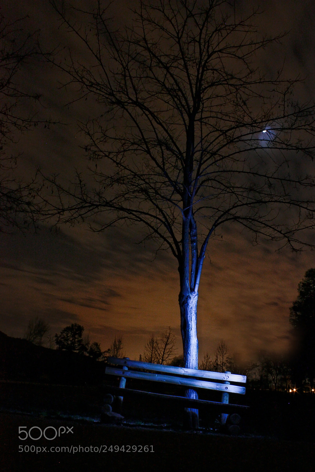 Canon EOS 450D (EOS Rebel XSi / EOS Kiss X2) sample photo. Nocturna photography