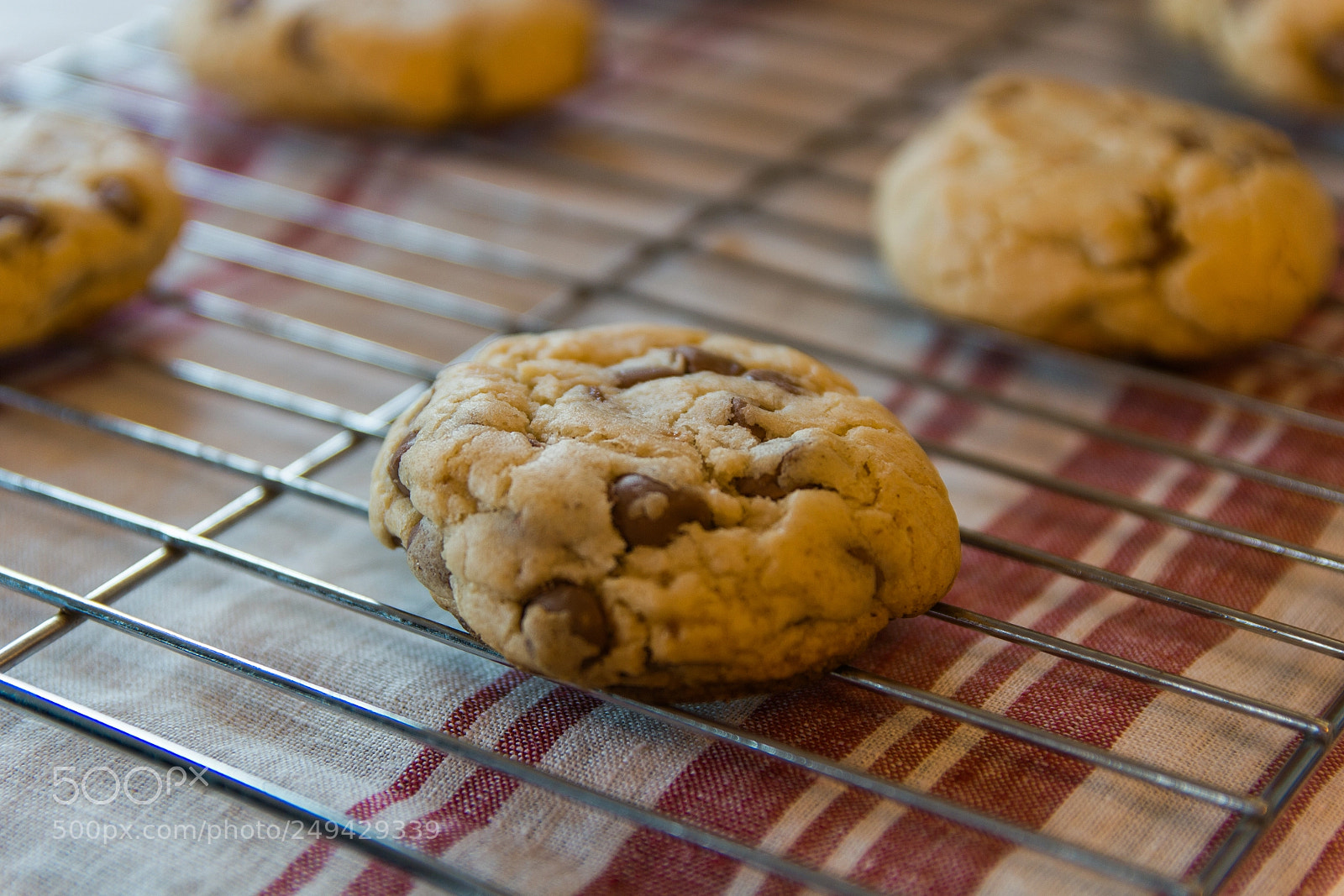 Canon EOS 550D (EOS Rebel T2i / EOS Kiss X4) sample photo. Simple chocolate chip cookies photography