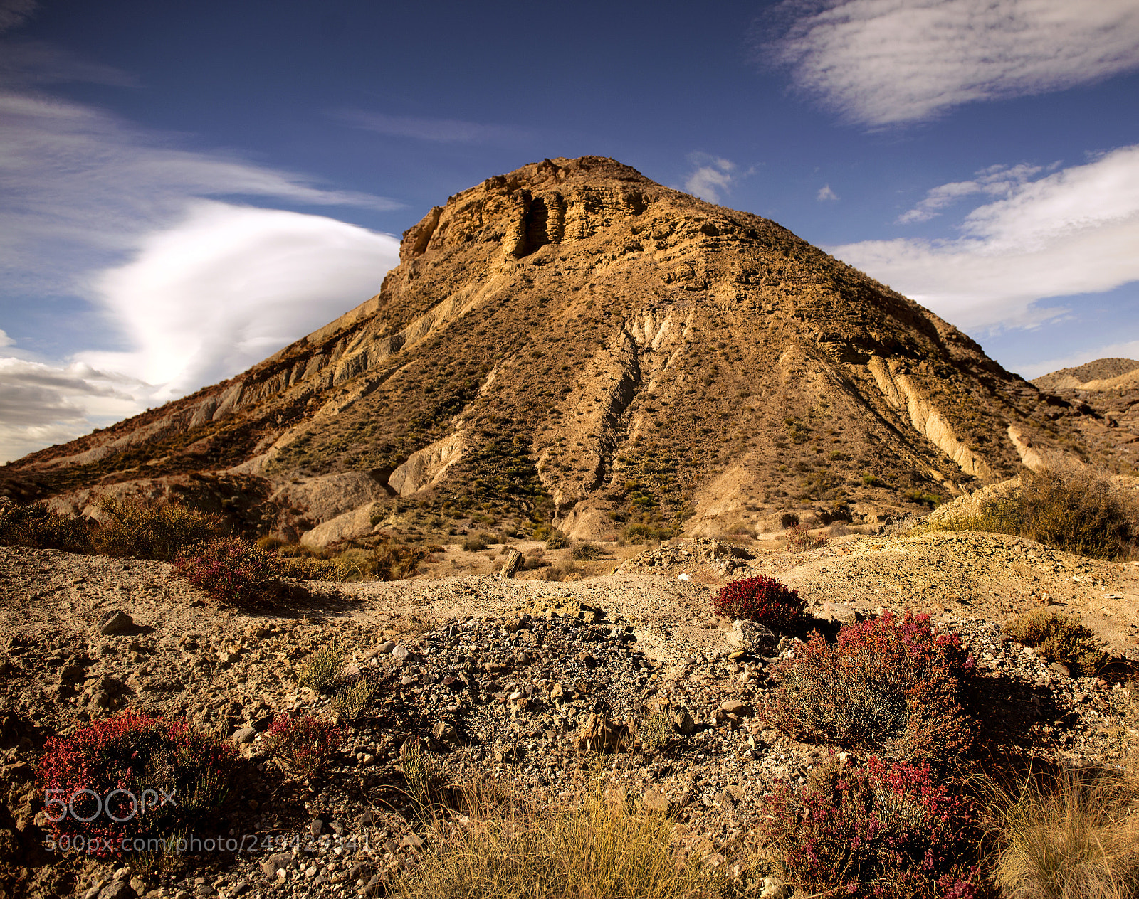 Nikon D610 sample photo. Desierto de almeria photography