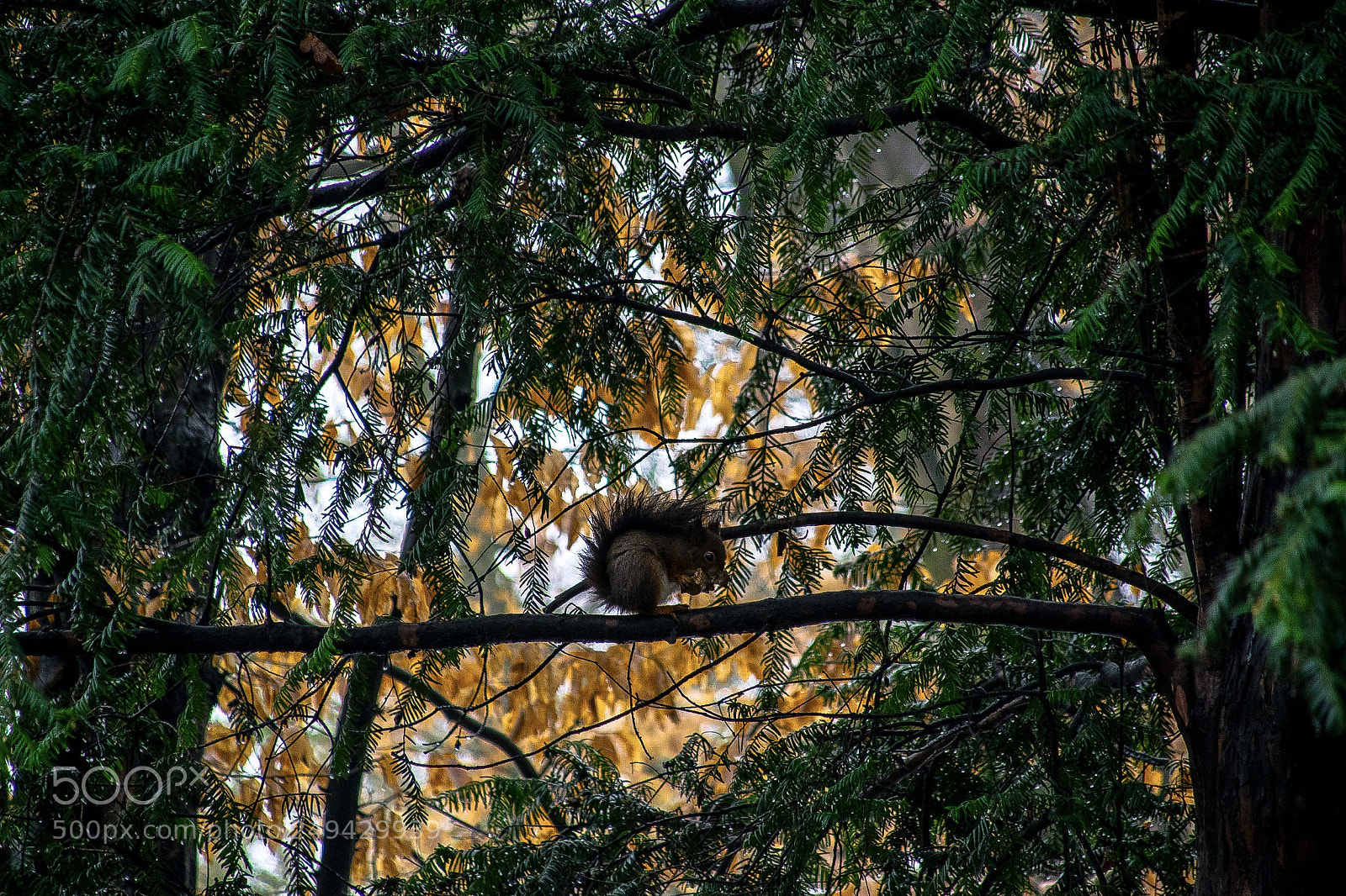 Nikon D5300 sample photo. Untitled photography