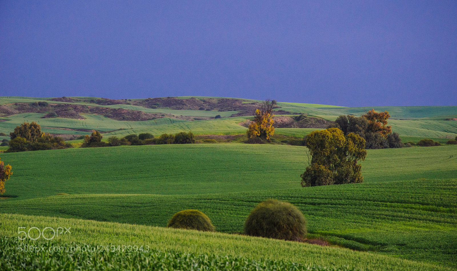 Nikon D7000 sample photo. Storm sunrise photography