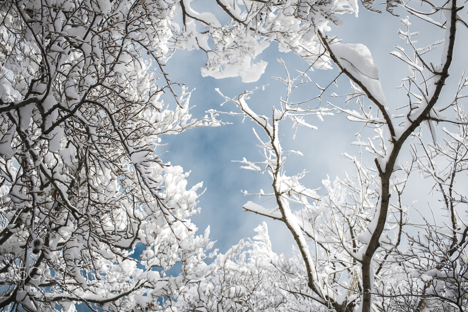 Canon EOS 7D sample photo. Narnia photography