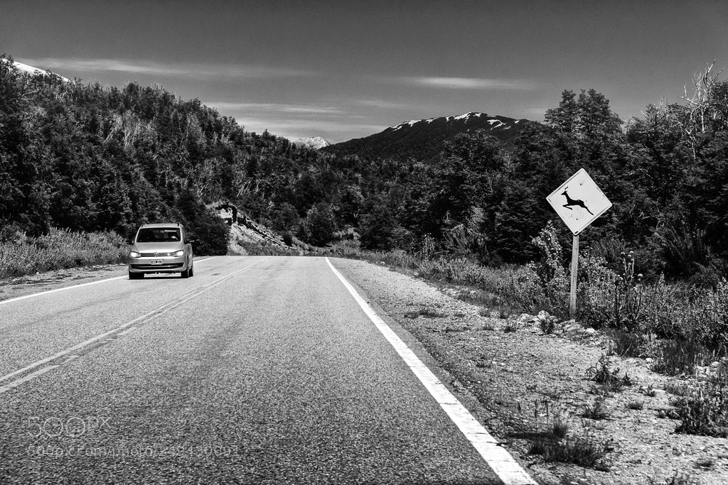 Nikon D5200 sample photo. Lanin photography