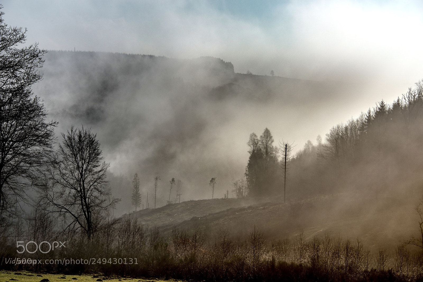 Nikon D610 sample photo. Foggy morning in the photography