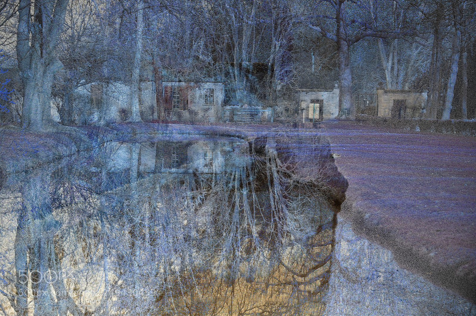 Nikon D300 sample photo. Blue twilight photography