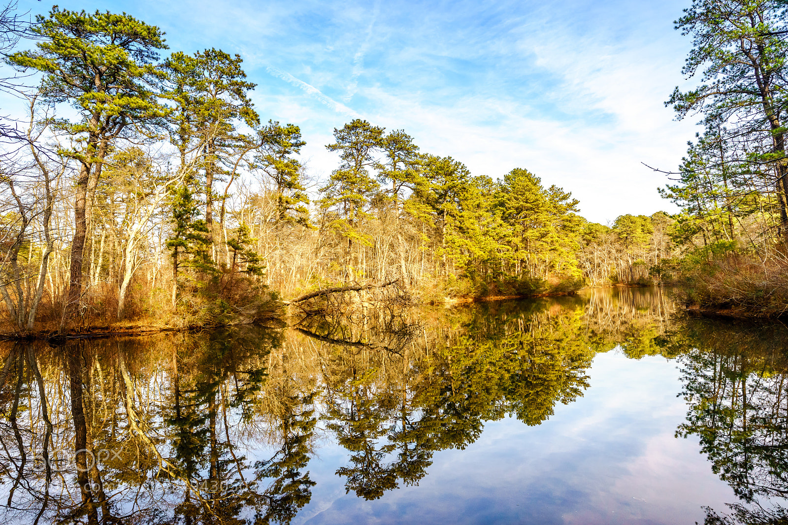 Sony a7 II sample photo. Toms river nj photography