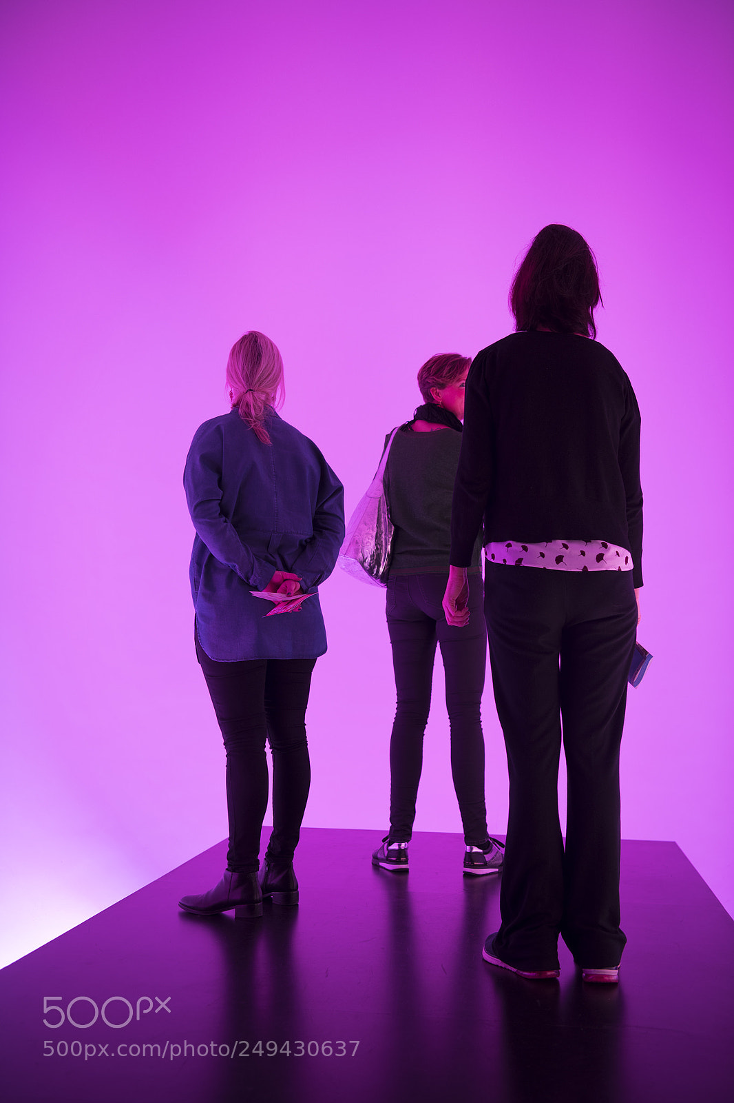 Nikon D850 sample photo. Purple photography