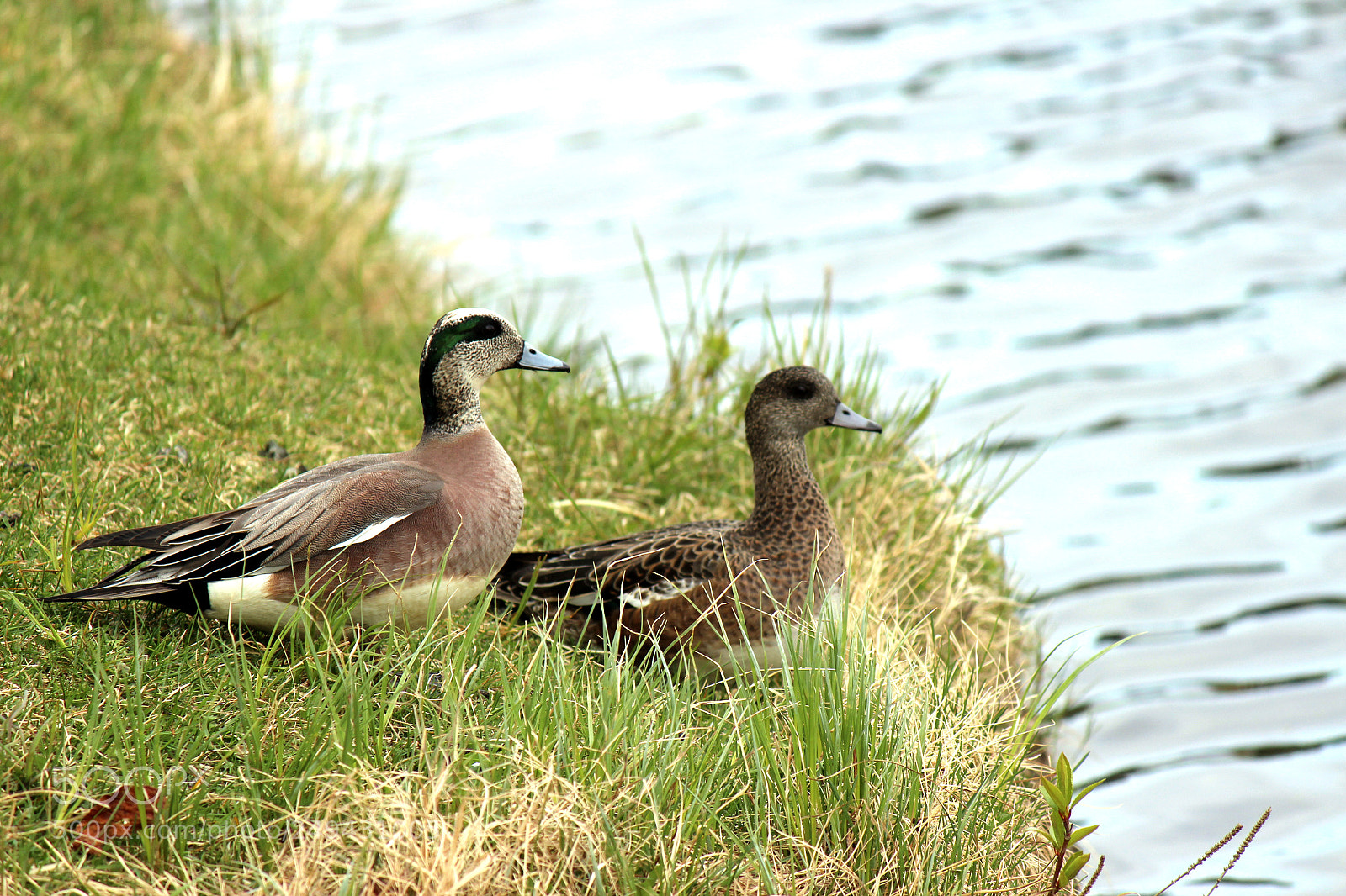 Canon EOS 600D (Rebel EOS T3i / EOS Kiss X5) sample photo. Img photography