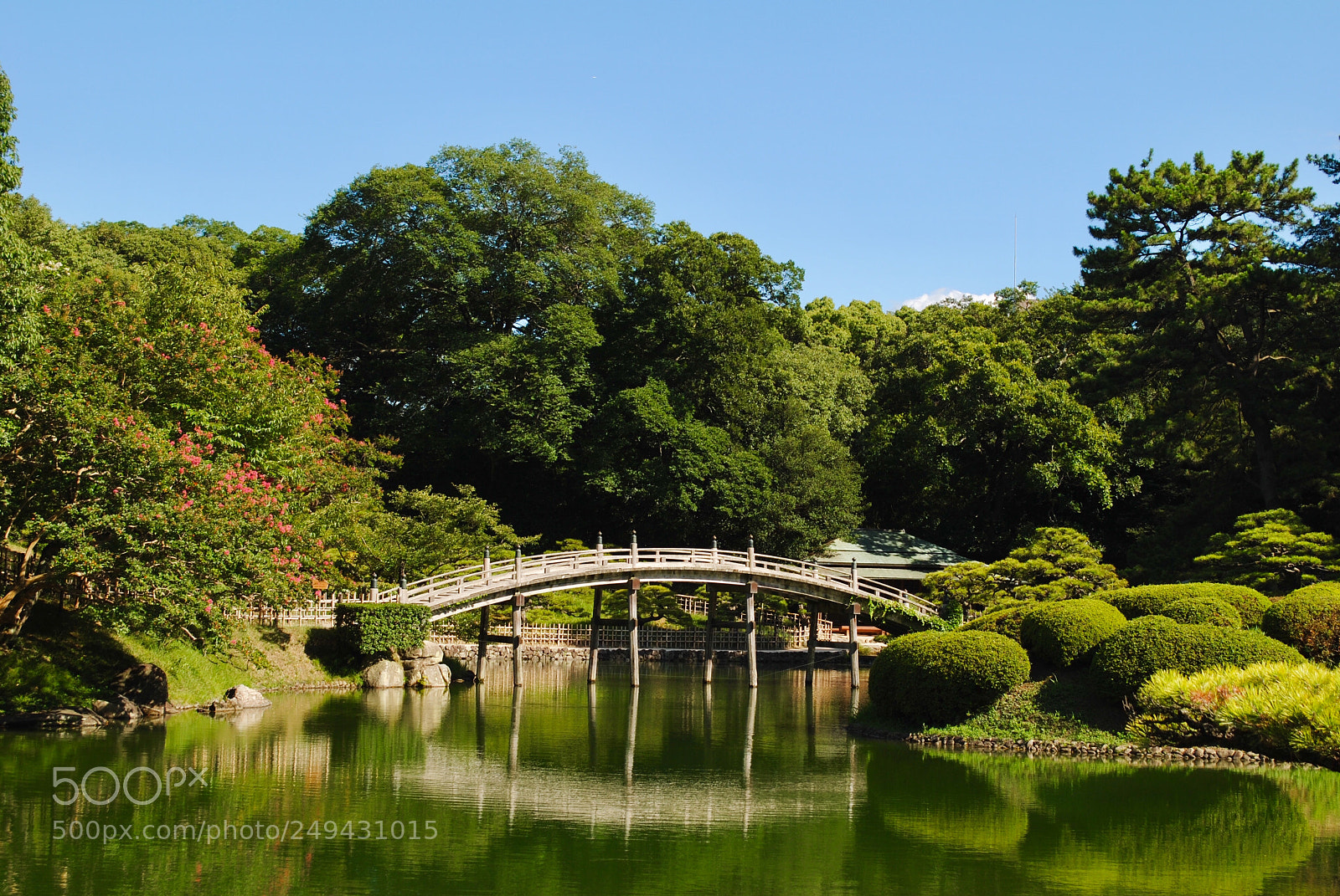 Nikon D3000 sample photo. Japanese garden  photography
