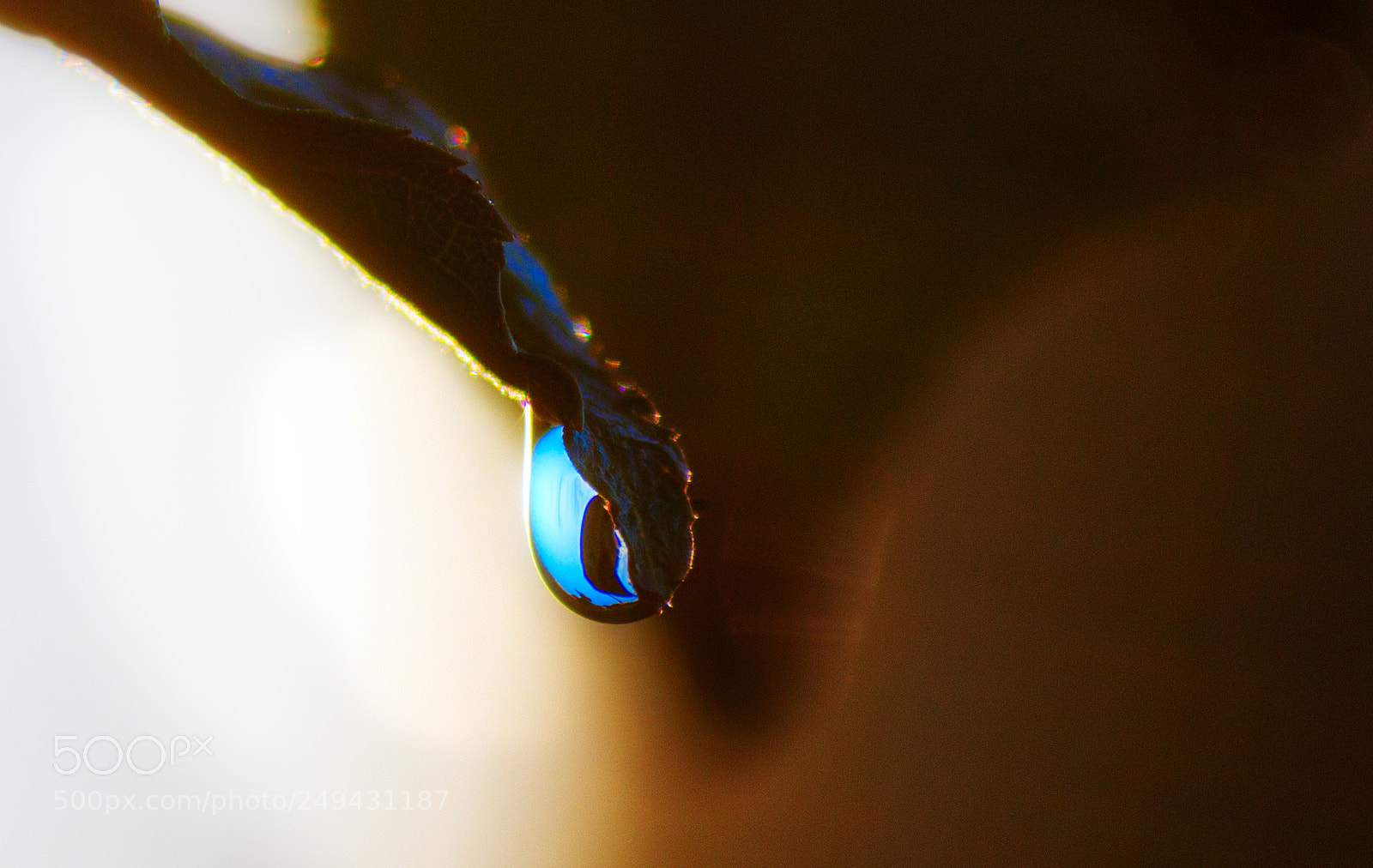 Canon EOS 70D sample photo. Sapphire photography