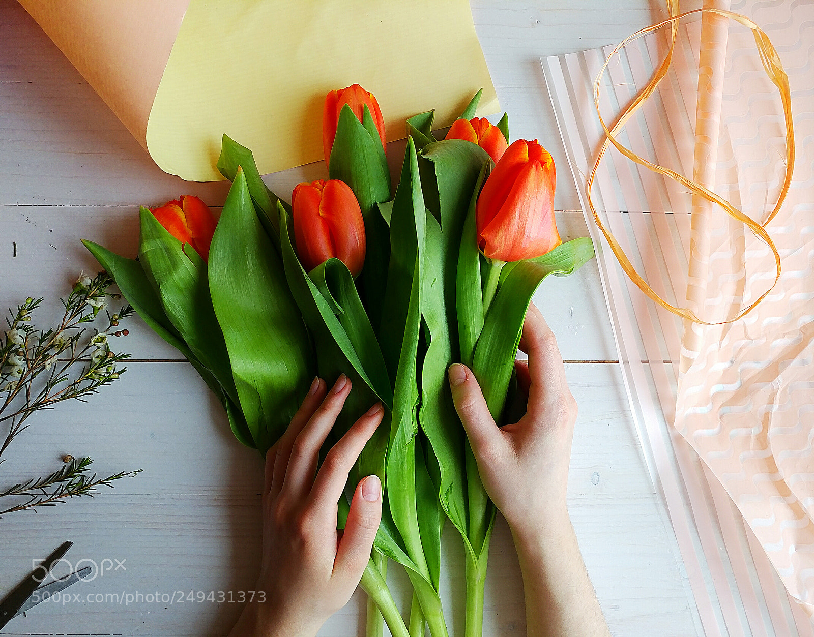 LG V20 sample photo. Tulips photography