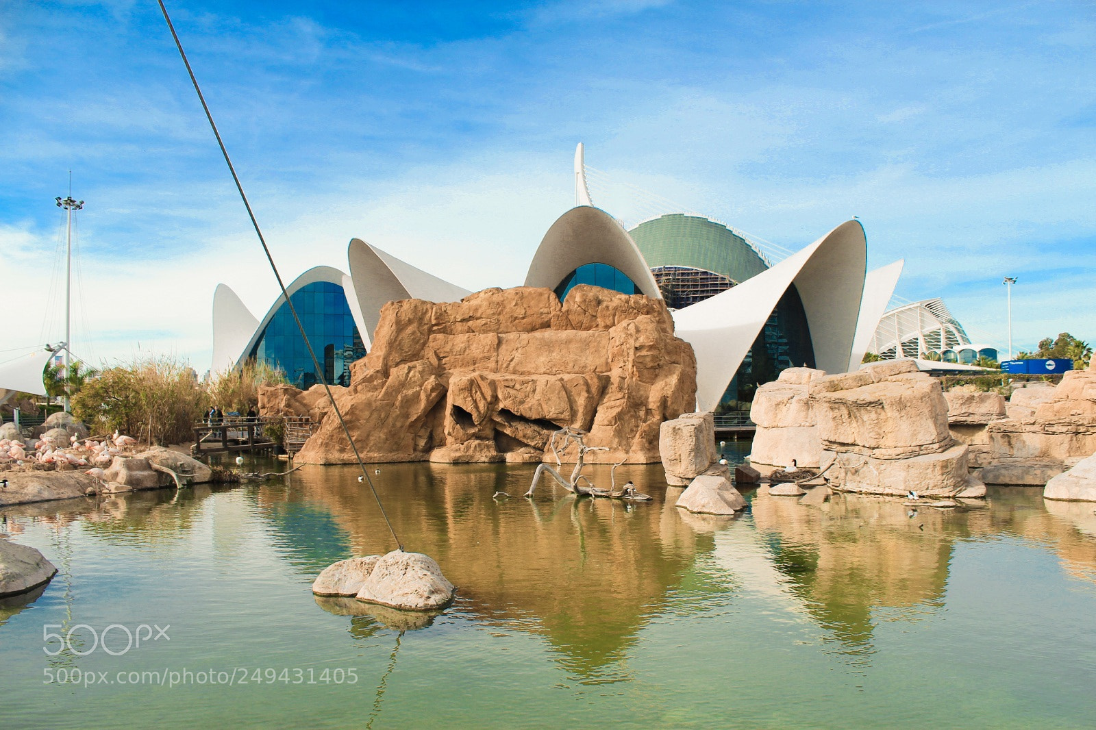 Canon EOS 600D (Rebel EOS T3i / EOS Kiss X5) sample photo. Oceanografic - valencia photography
