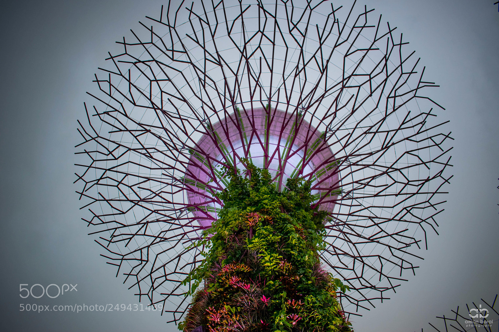 Nikon D5300 sample photo. Supertree grove photography