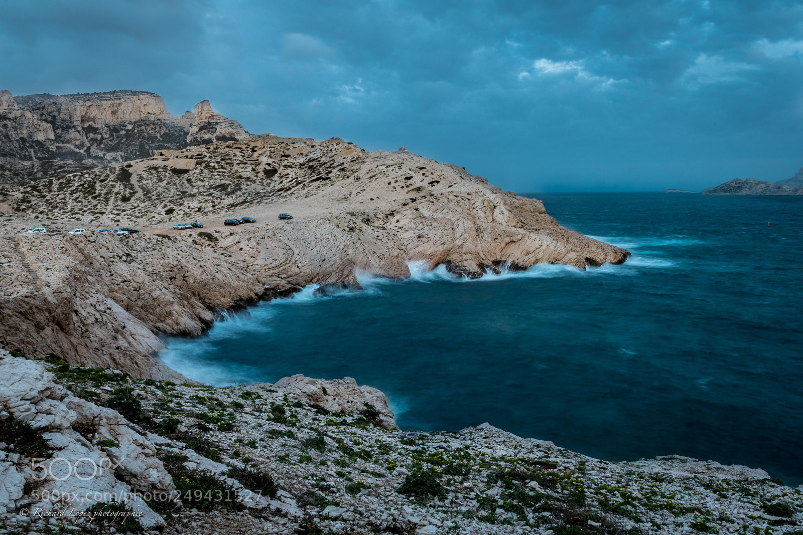 Nikon D500 sample photo. La baie des singes photography