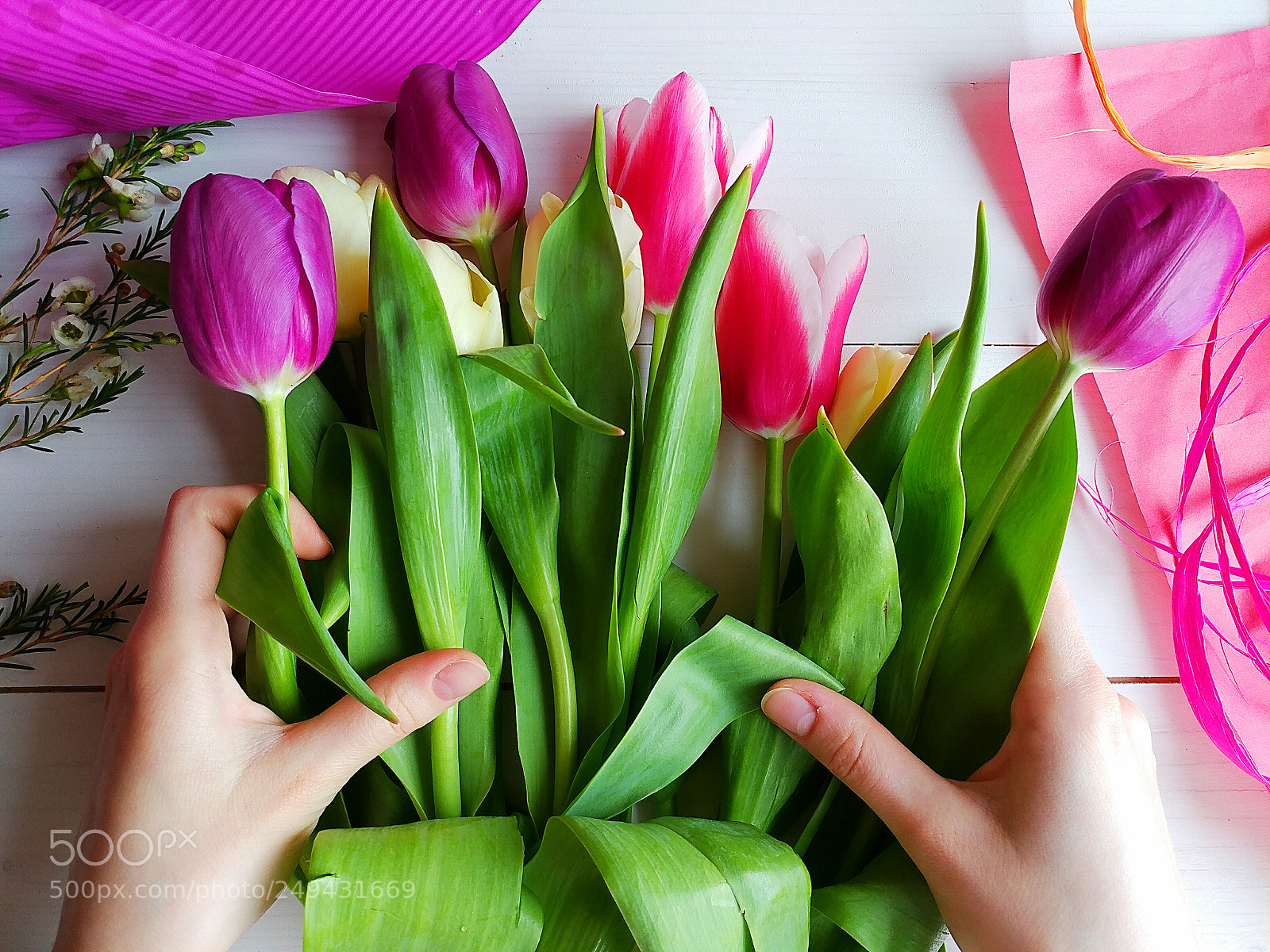 LG V20 sample photo. Tulips photography