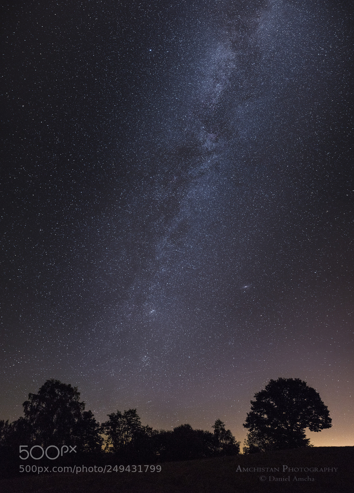 Pentax K-1 sample photo. Milky way with tree photography
