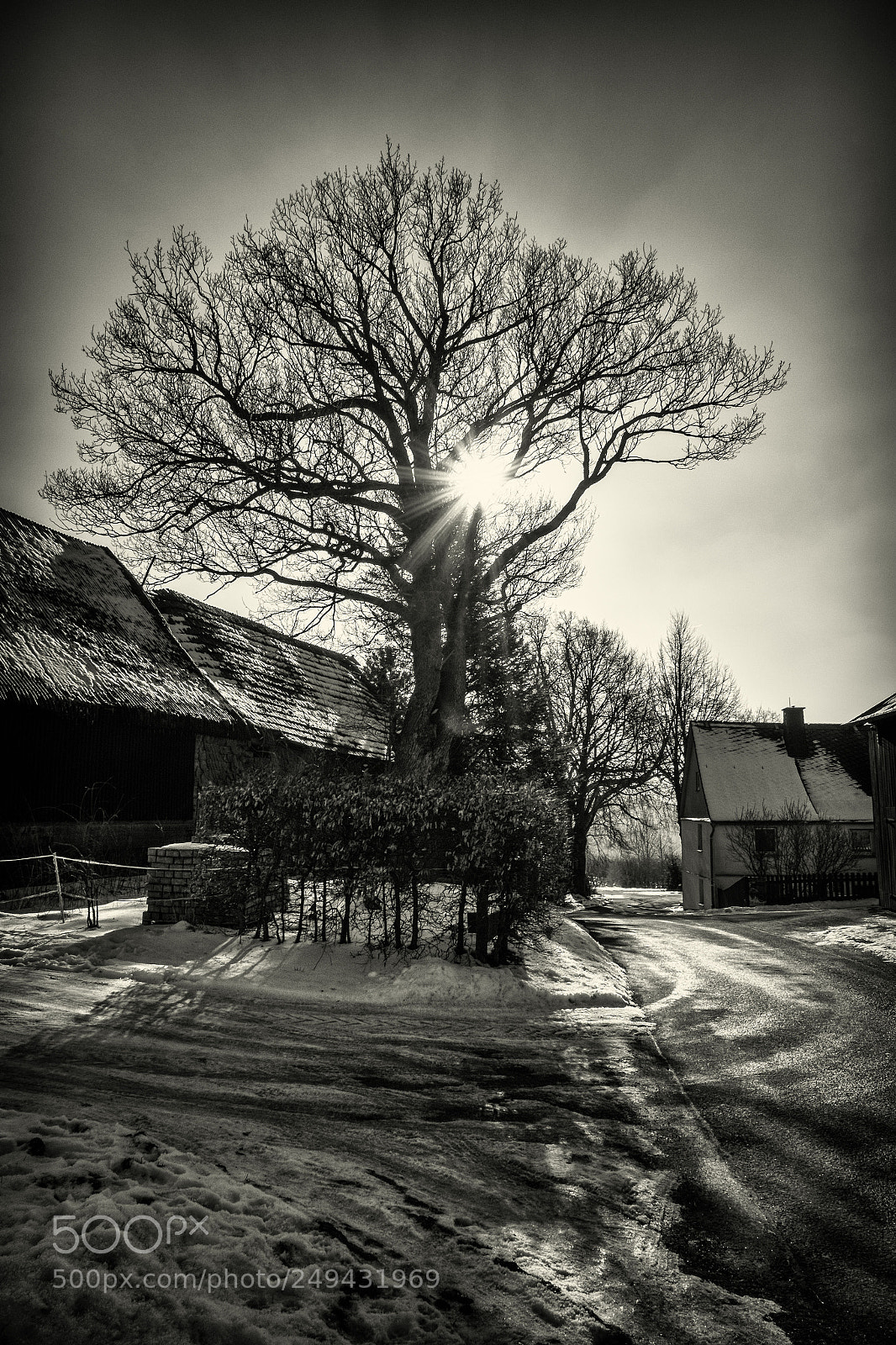 Pentax K-S2 sample photo. Hausbaum photography