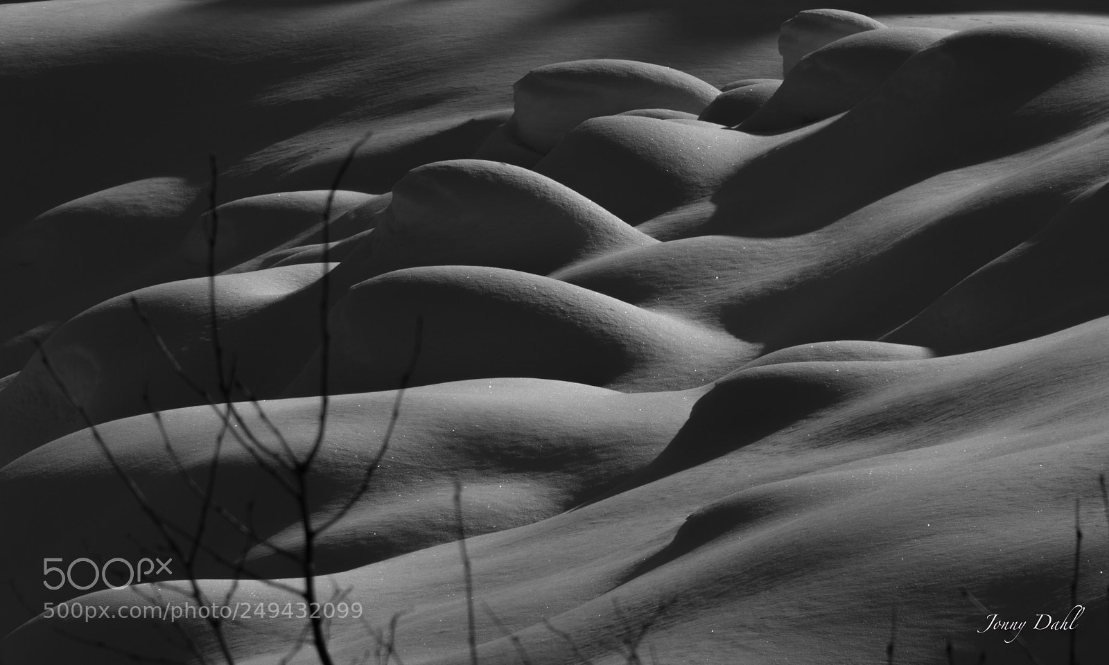 Canon EOS 5D Mark IV sample photo. Fine shadows in the photography