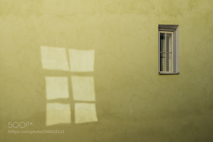Nikon D610 sample photo. Windows photography