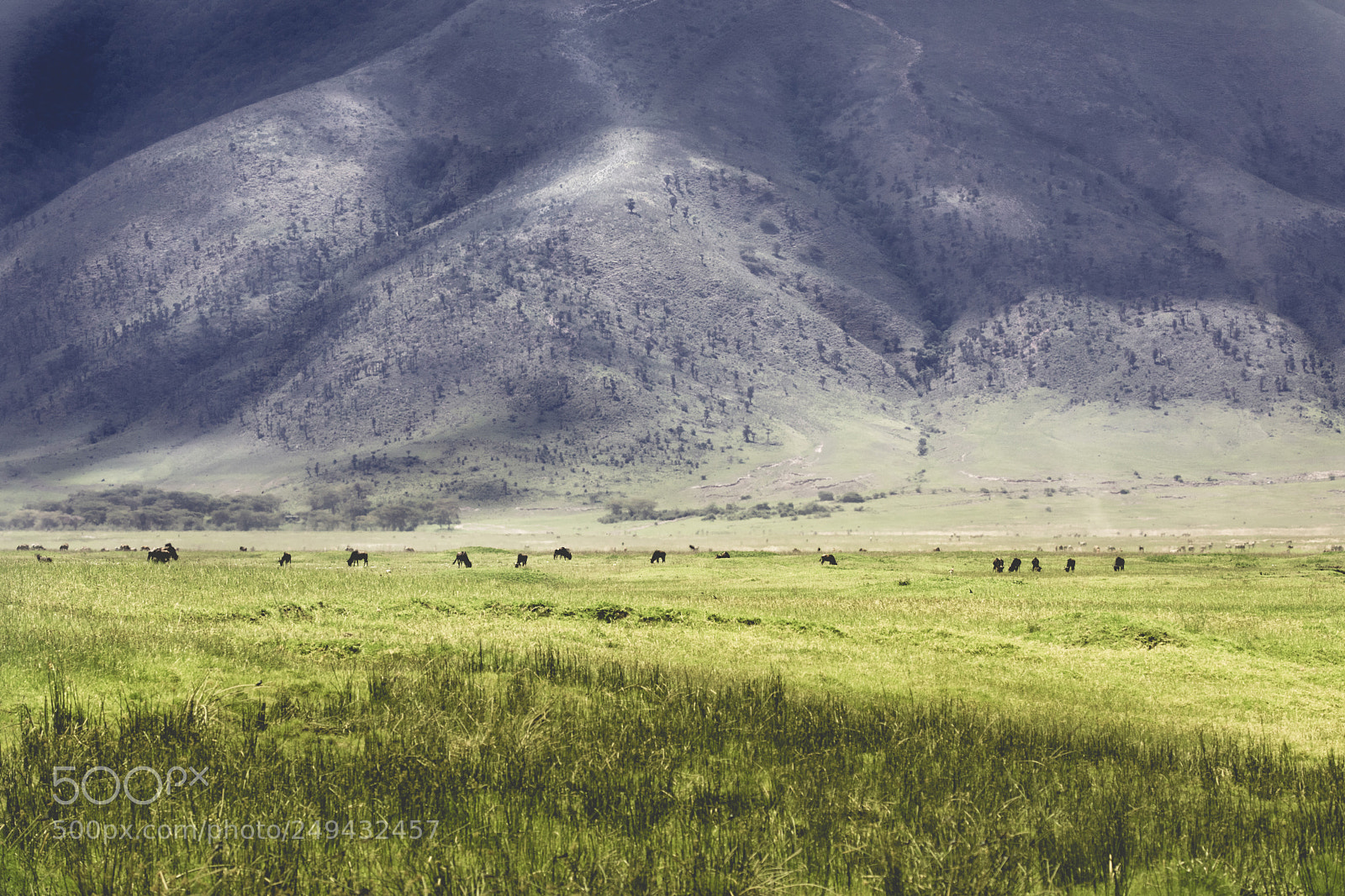 Canon EOS 5D Mark IV sample photo. Ngorongoro crater photography