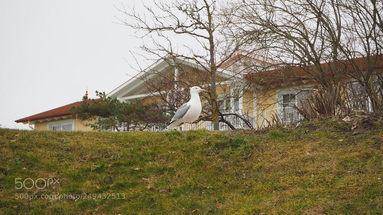Olympus OM-D E-M10 III sample photo. Kühlungsborn photography