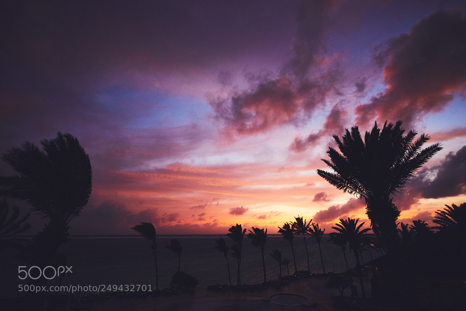 Sony a7R II sample photo. Day seventy four photography