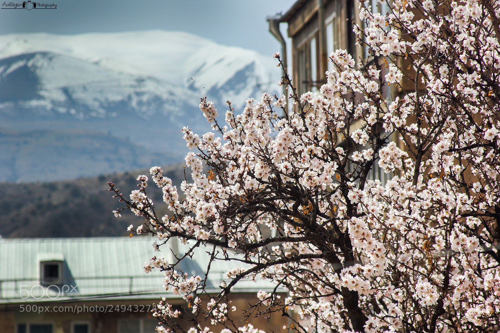 Canon EOS 60D sample photo. Armenia photography
