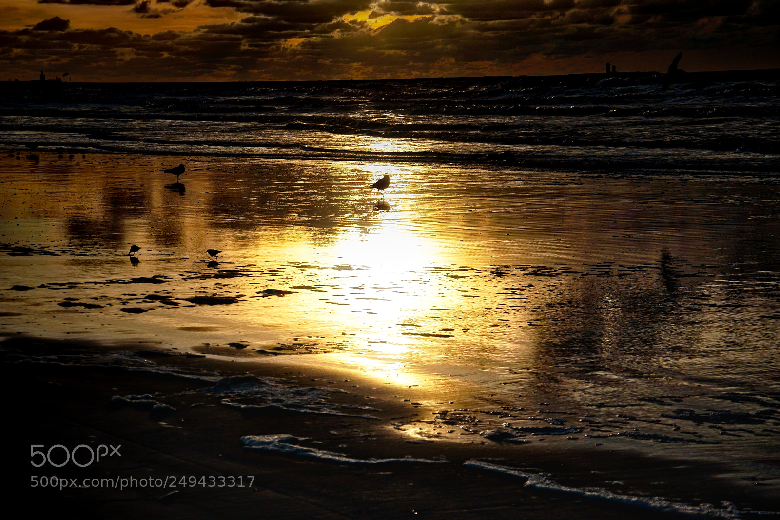 Sony a6300 sample photo. Beach sunset gold wave photography