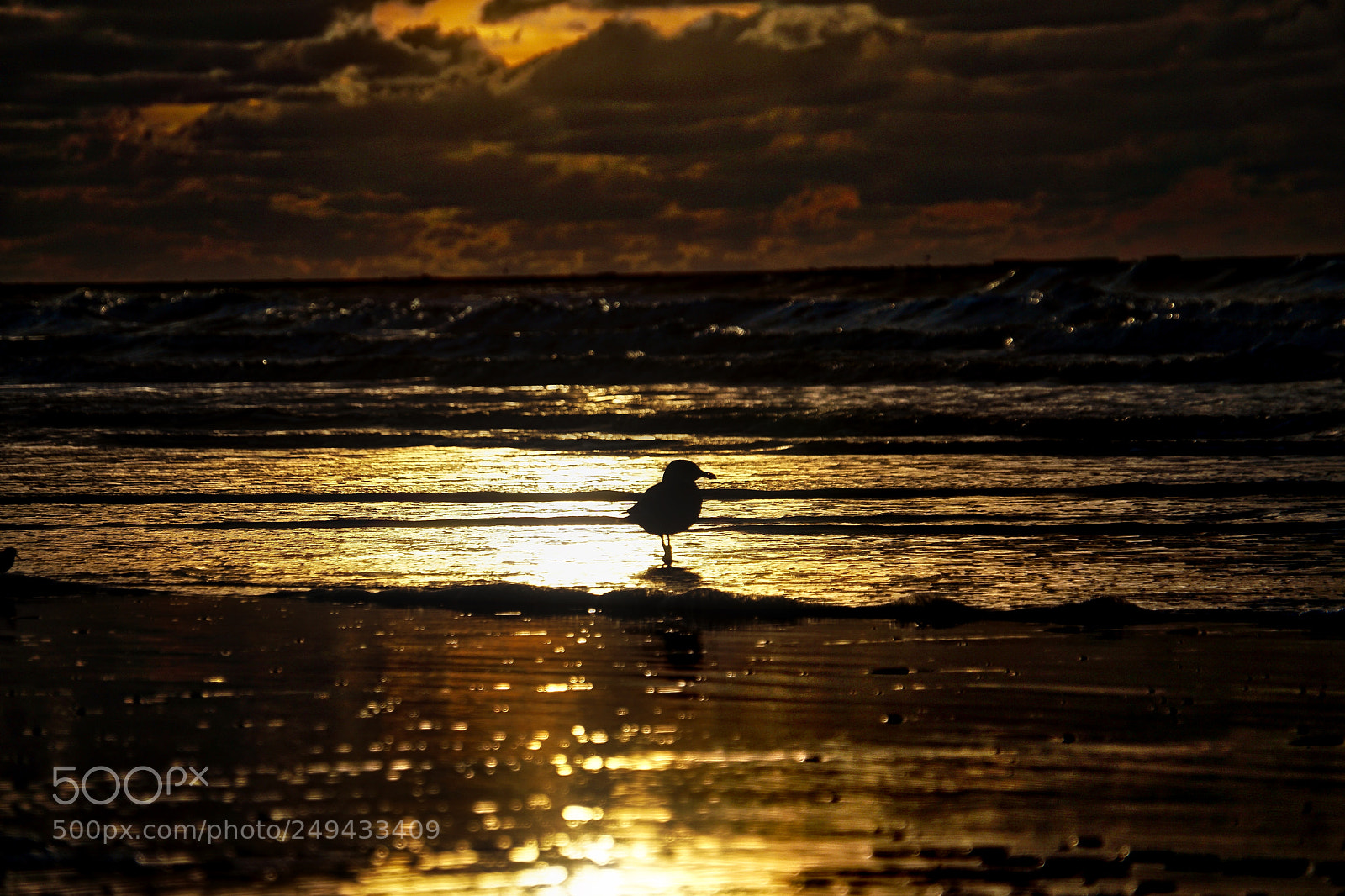 Sony a6300 sample photo. Beach sunset gold wave photography