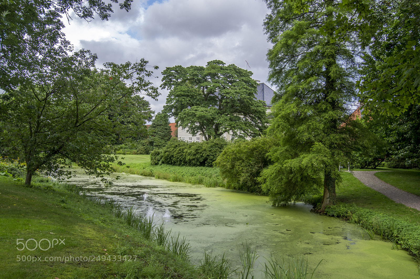 Nikon D5200 sample photo. Garden photography