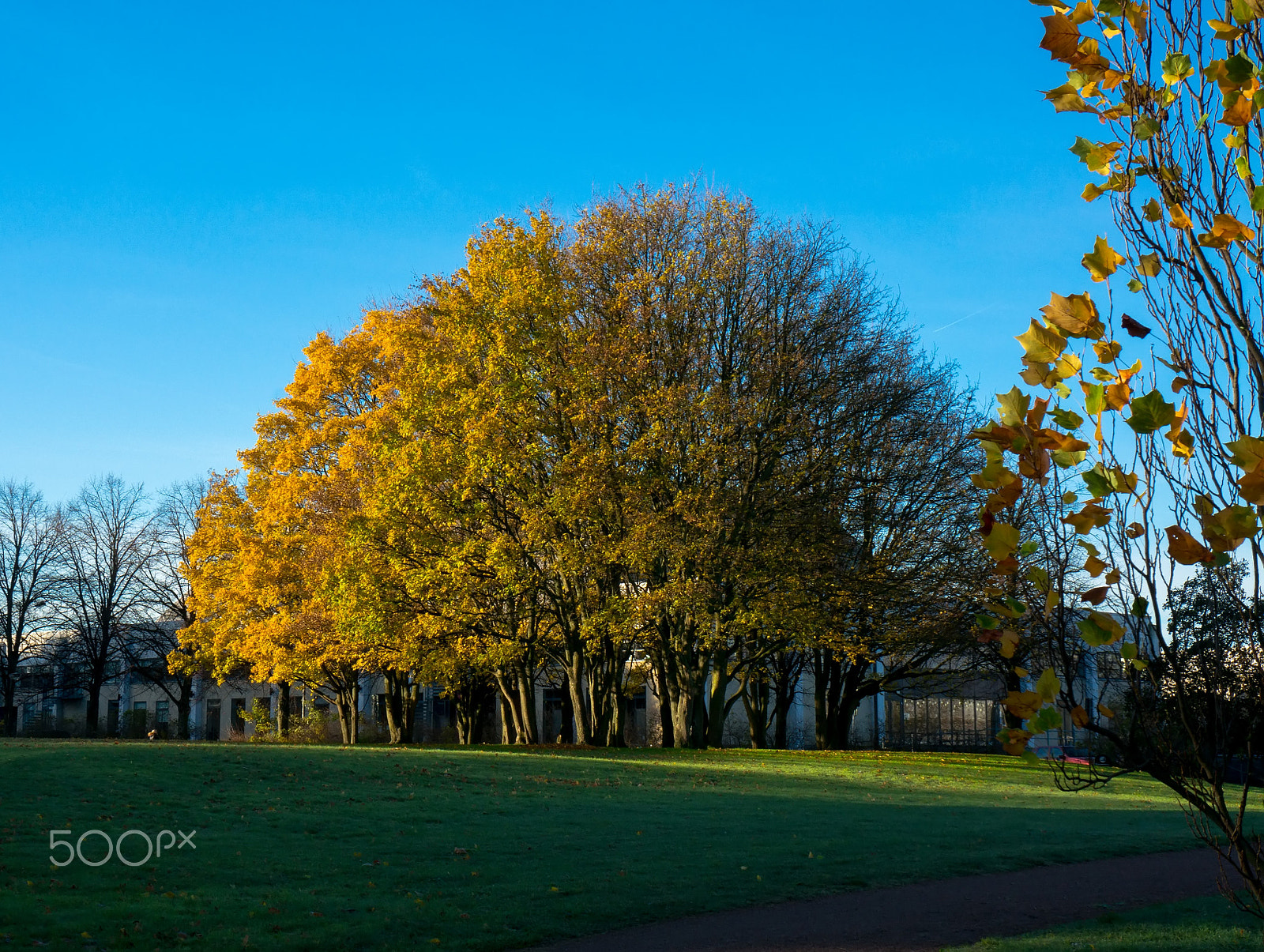 Sony Alpha NEX-5R + Sony E 18-55mm F3.5-5.6 OSS sample photo. Malmö park photography