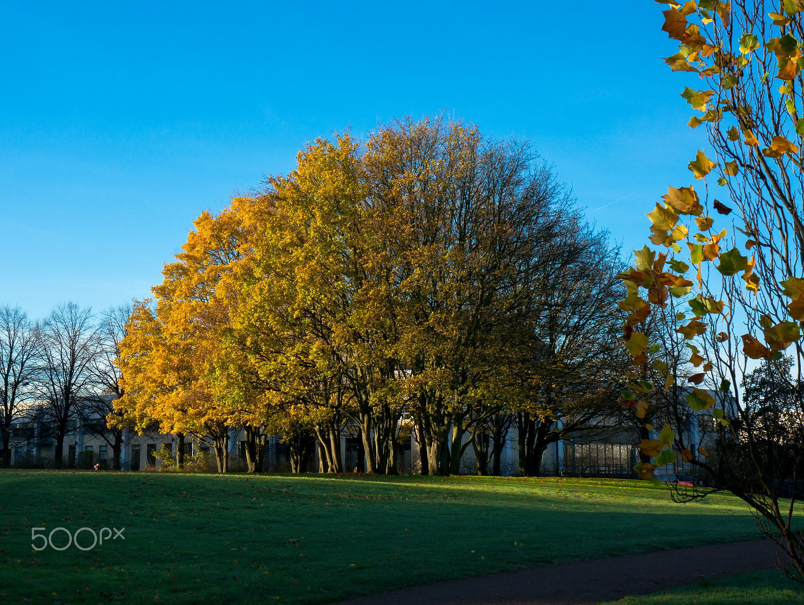 Sony Alpha NEX-5R sample photo. Malmö park photography